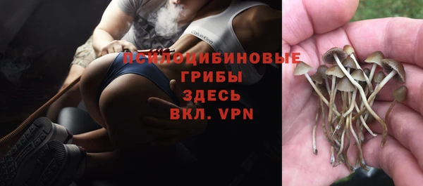 меф Богданович