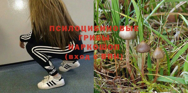 меф Богданович