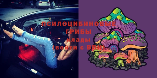 марки lsd Белокуриха