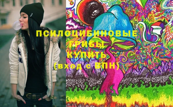 spice Бронницы
