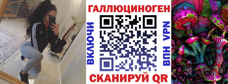 hydra как зайти  Большой Камень  Псилоцибиновые грибы Cubensis 